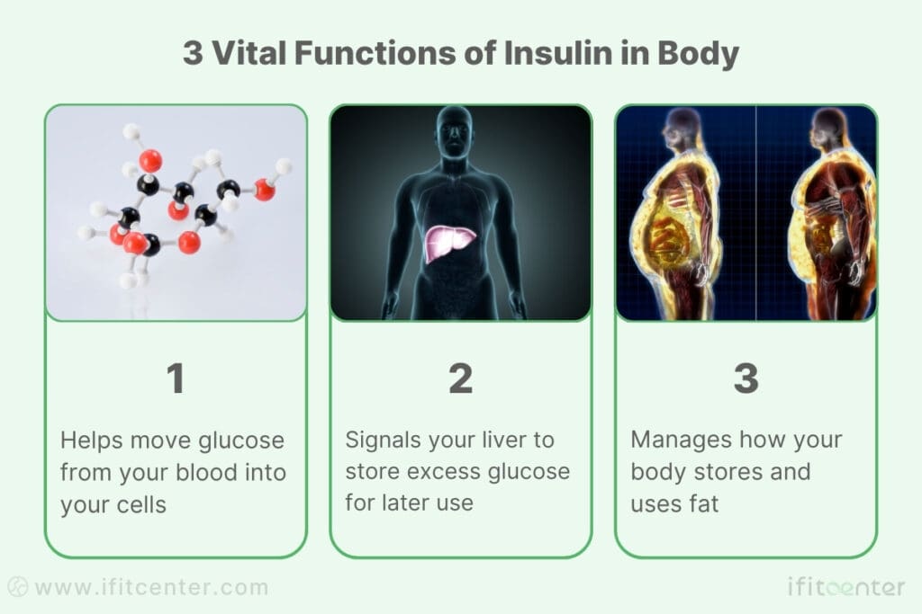 functions of insulin in body