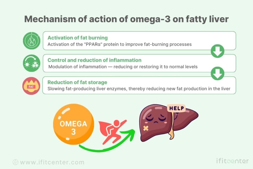 fatty liver omega 3