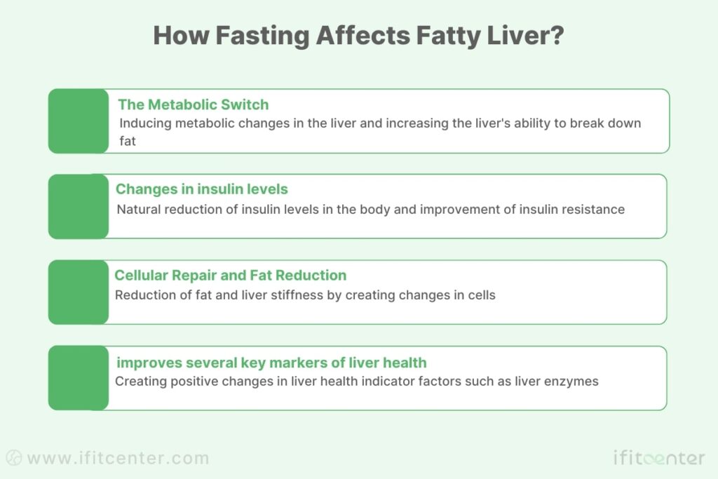 How Fasting Affects Fatty Liver